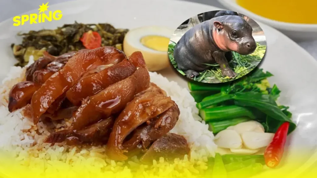 หมูเด้ง, อาหารอร่อย, อาหารไทย, เทรนด์อาหาร, ThaiCuisine, FoodTrend, ข้าวขาหมู